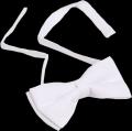 TAUR/NOSCHESE - 40, White